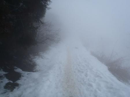 完全にホワイトアウト状態