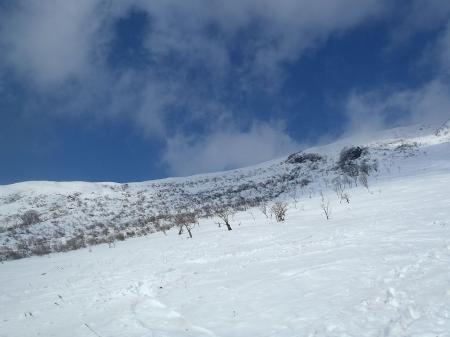 完全に青と白のコントラストに！