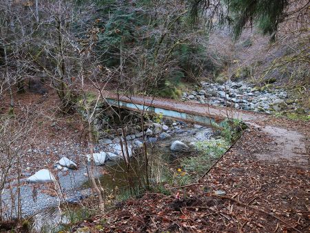 ここで橋を渡るとタイジョウ分岐はすぐ