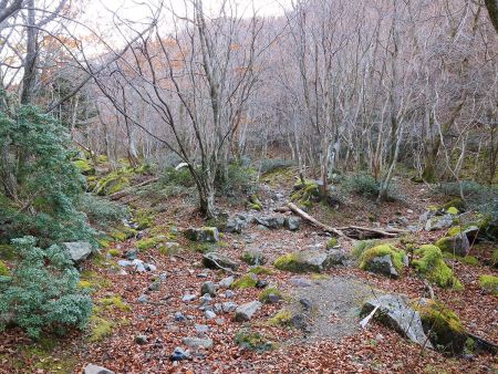 沢筋のこんななだらかな道が続く。ちょっとガレてるけど、歩きにくいことはない