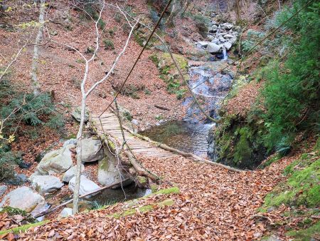 この橋を渡るのがちょっと怖い感じがしたけど、意外としっかりしていた