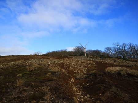 青空がでてかなり雰囲気がいい
