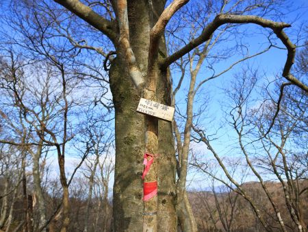 杉峠ノ頭(1121m)に到着