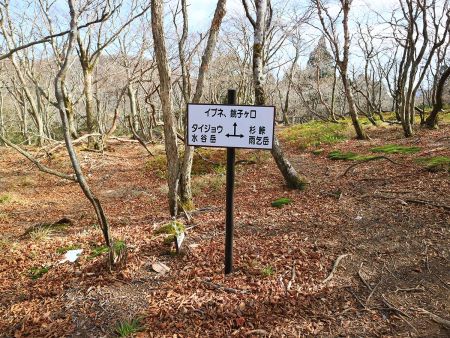 ここで分岐。下山時はここに戻ってきてタイジョウのほうへ向かう