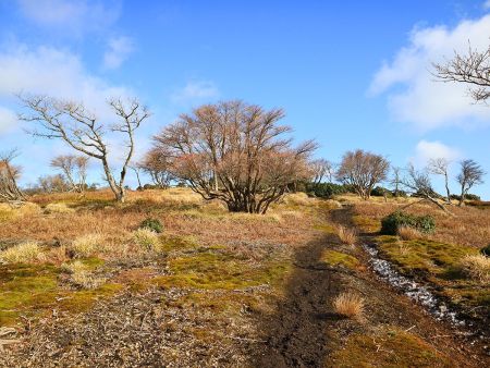 イブネへ登っていく。青空が美しいけど紅葉だったらもっといいのかも