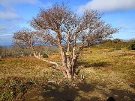 イブネ(1160m)に到着。念願の登頂だった