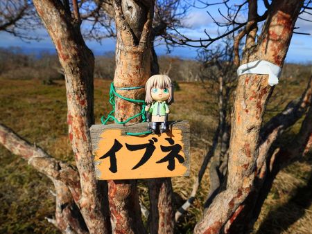 北風がすごくて大変だったけど、なんとか雪村あおいちゃんを撮影しておいた