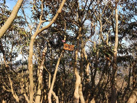樹林に囲まれたクラシ(1145m)に到着