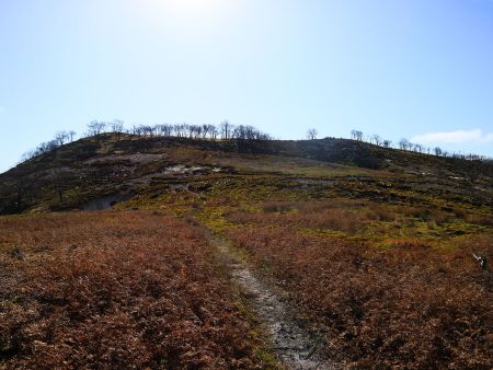 鈴鹿はこういう雰囲気のところが結構あるのね。青空だし最高だった