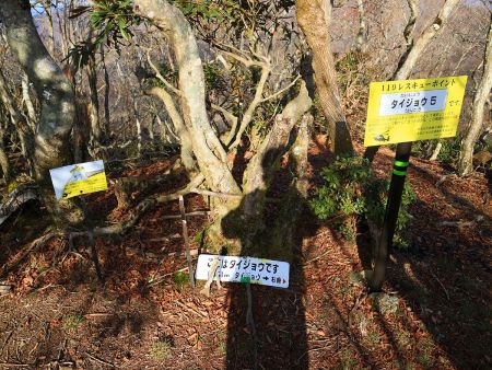 タイジョウ(1061m)に到着。レスキューポイントの看板があるなら、道標も設置してほしかった。実は下りの尾根はこの看板の裏だったりする