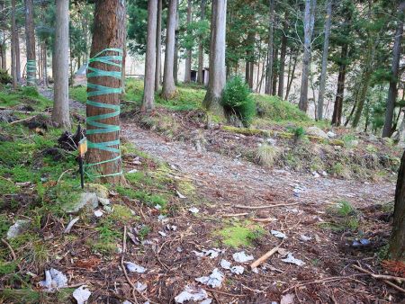 林道まで下ってきて精神的にホッとした。ここで少し休憩しておいた