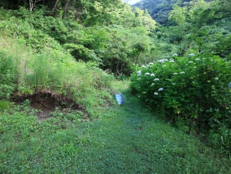 ここから入山していく