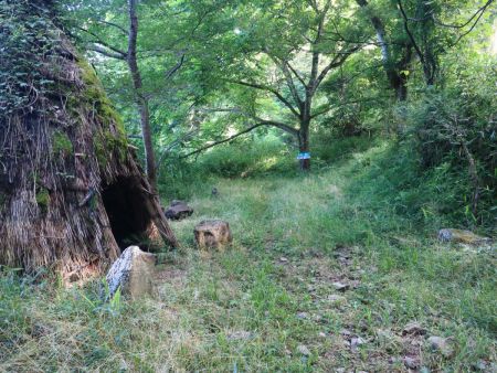 なんか左側に入れるところがあったけど、これは一体何だろうか？