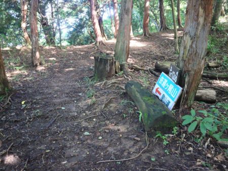 山頂まで1200mの距離と結構楽かも