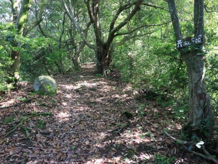 山頂まであと500m地点。ひたすらこんな道が続いていく