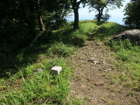 依遅ヶ尾山の山頂三角点。これだけがポツンとあったけど、山頂プレートなど何もなかった