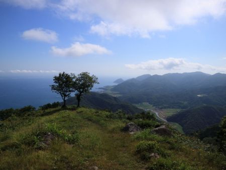 三角点より少し北側に行くと日本海が望めた。この先の2本の木のところがいい展望スポットだった
