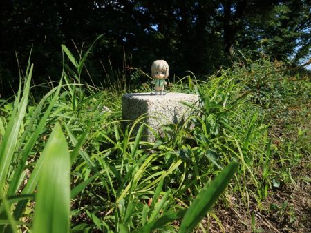 三角点と雪村あおいちゃんを撮影しておいた