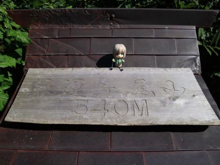 山頂看板と雪村あおいちゃんを撮影しておいた