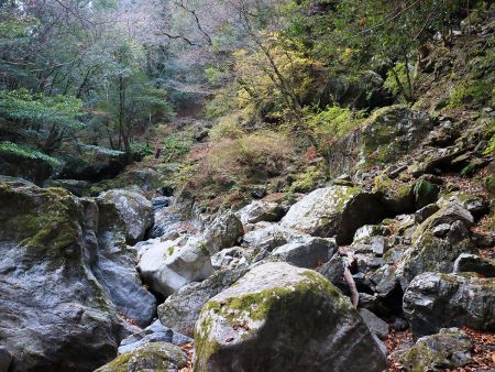 沢に下りてみてみると橋だらけ。どんどん進んでいく