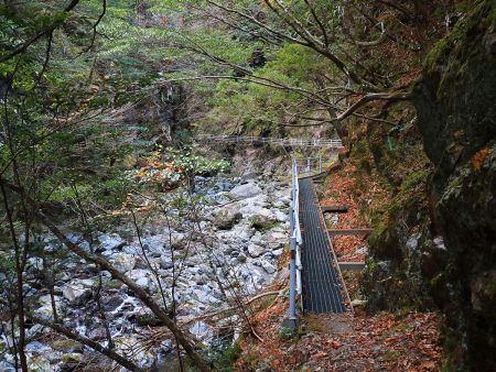 登山道は結構整備されているのに驚いた。滝だけ見に行く人とかいるのかな！？