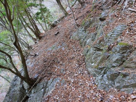 高滝の巻き道は結構デンジャーなトラバースとかある。ピストンはしたくないね