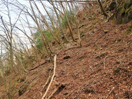 まあつづら折れになってるけど、ほぼ無理矢理に尾根へ登る