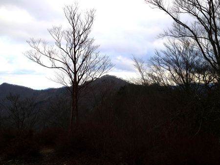 池木屋山を振り返って見る。あそこから来たんだな