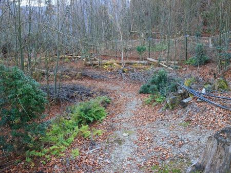 ネットが倒れてたり穴が開いてたりしてる所があったのでそこからネットの中に入った。踏み跡があるので従って下っていく