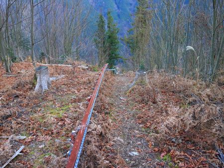 レールがあった。ルート的にはとりあえずレール伝いに下っていく