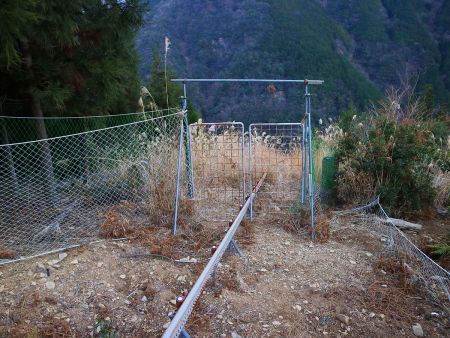 ここで柵を開けずにレールから離れて右へ下りていく。そして再びしばらく下って左の植林帯へ入って行く