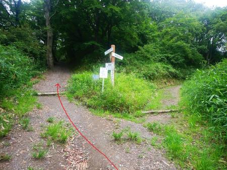 ここで額田展望台との分岐。以前はナイトハイキングで右にいったけど今回は生駒山上なので左側を登っていく