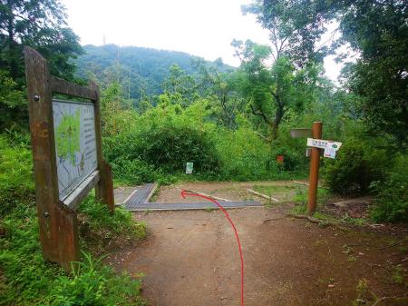 登山道の合流地点。道標に従って左へ曲がる