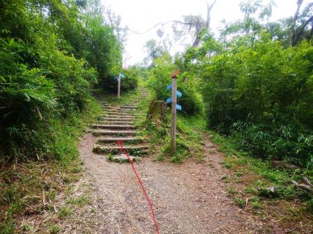 ここもまた分岐だけどご丁寧に道標があるので従って左側を登っていく