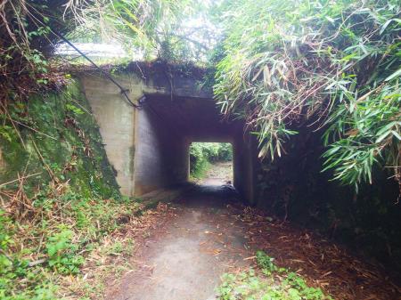 スカイラインのトンネルをくぐる。ここまで来たらあともう少し