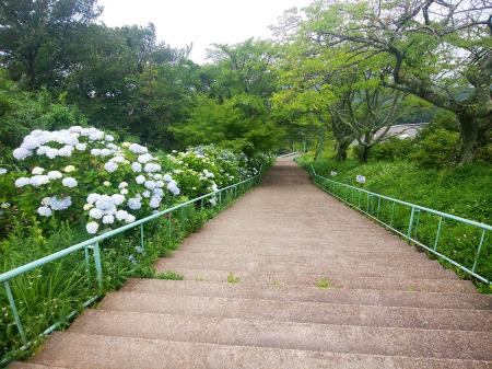 遊園地の北入口に下りていく
