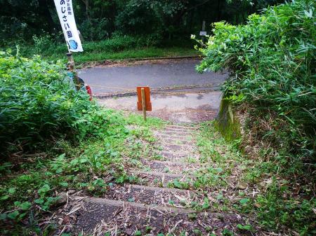 下って行くと立入禁止のトラロープがされていた。それなら下山口にも書いておいてほしかった。ここのルートを使えない場合はあじさい園経由で登るしかないみたい