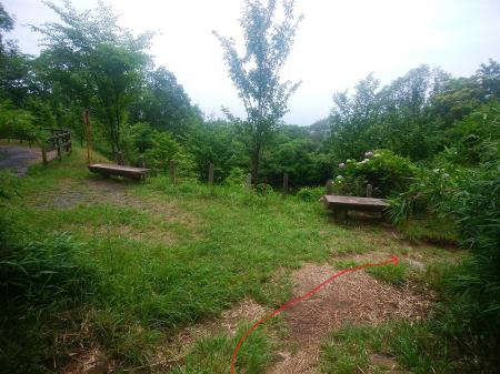 ここも舗装道に出るのではなく、右の登山道を下っていく