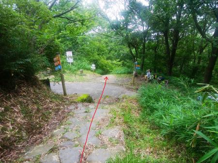 ここも舗装道を横断して直進。あくまで登山道を下っていく