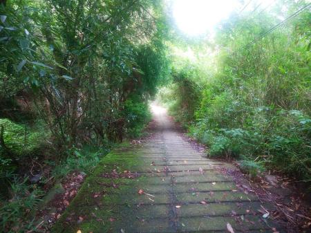 興法寺の下あたりから舗装道が続く。もう登山道でなくなってしまう