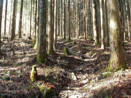 前いった積雪時とは大違いの景色