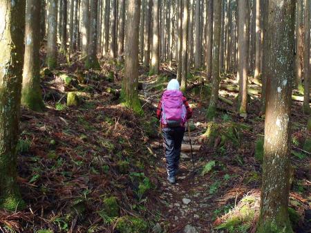 ここも苔地帯・・・S嬢の目が輝いてた