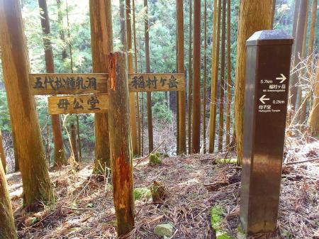 ここまでの0.2kmがなんかすごい長い感じがする