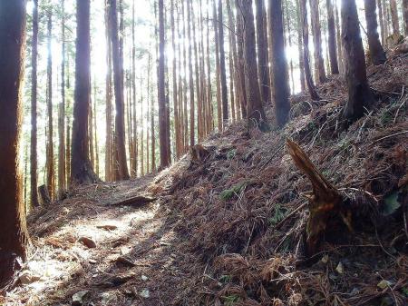 ひたすらトラバースが続く