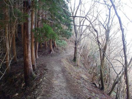 積雪時はここからピッケルさしてトラバースしたが、無積雪だとこんな感じで歩きやすかった
