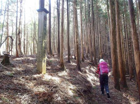 積雪時はここから尾根伝いで白倉山方面へ直登、途中で敗退した