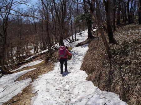 シャーベット状の雪道を歩くことになる。アイゼンはあんま意味なさそうだった