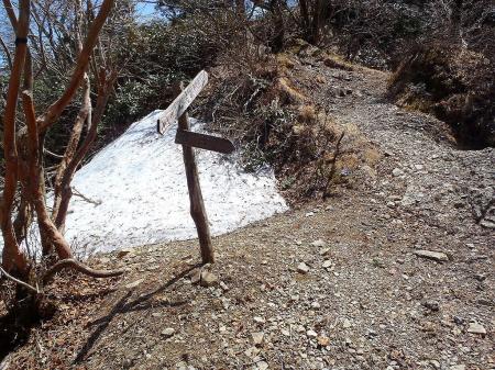 キレットにきた。これ以上はもしヤバいところがあったら敗退予定で稲村のトップを目指す