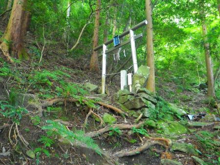 銀色の鳥居があるんだけど、ここが急登の真ん中くらいかな！？