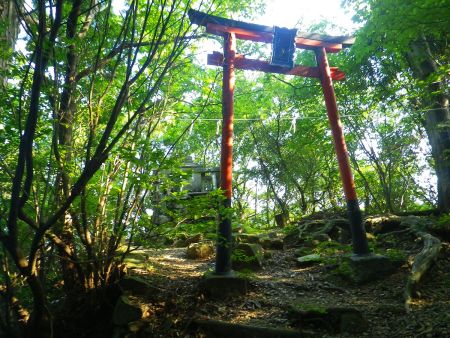 尾根に取り付くと赤い鳥居があって何か祀られている。ナイトハイキングではここまで登ってきた
